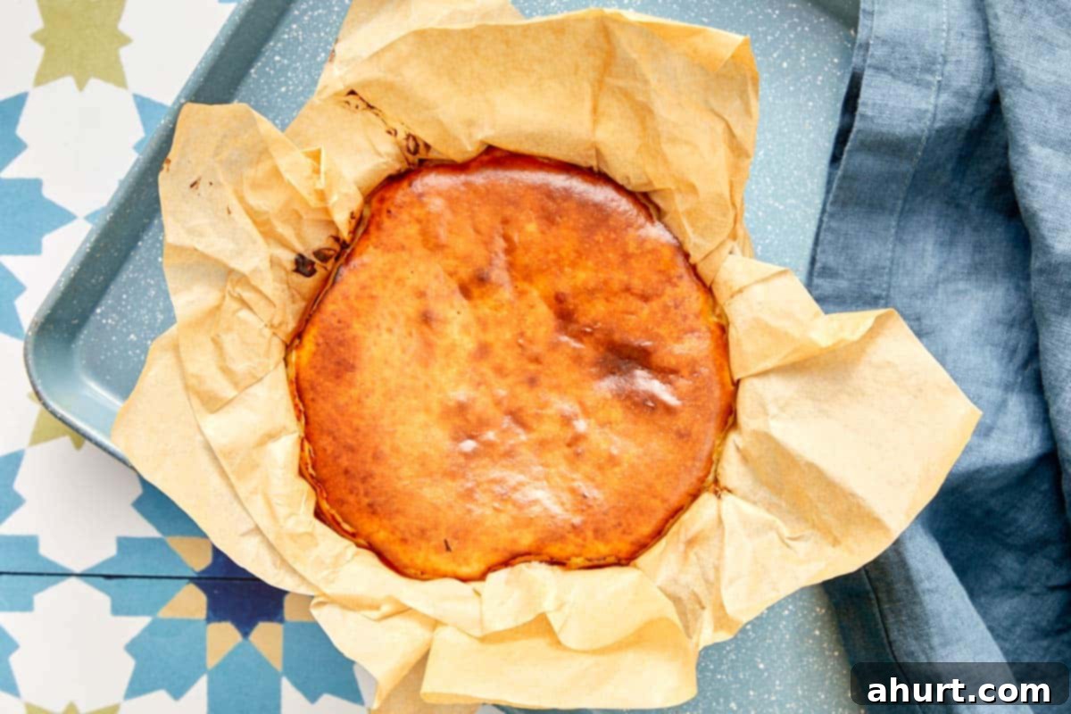 Burnt Basque Cheesecake 8 Freshly baked Basque cheesecake in parchment paper inside a baking dish, with a perfectly golden-brown top
