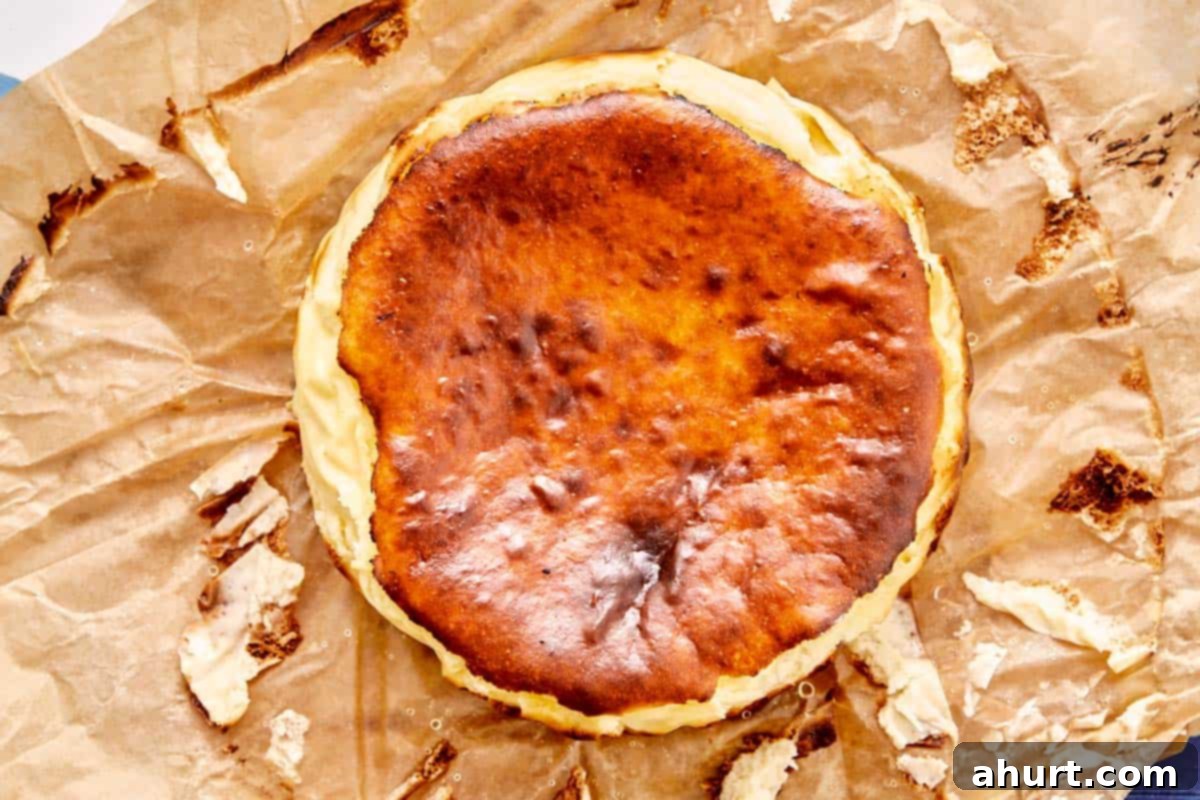 Burnt Basque Cheesecake 9 Basque cheesecake with caramelized top resting on parchment paper after cooling
