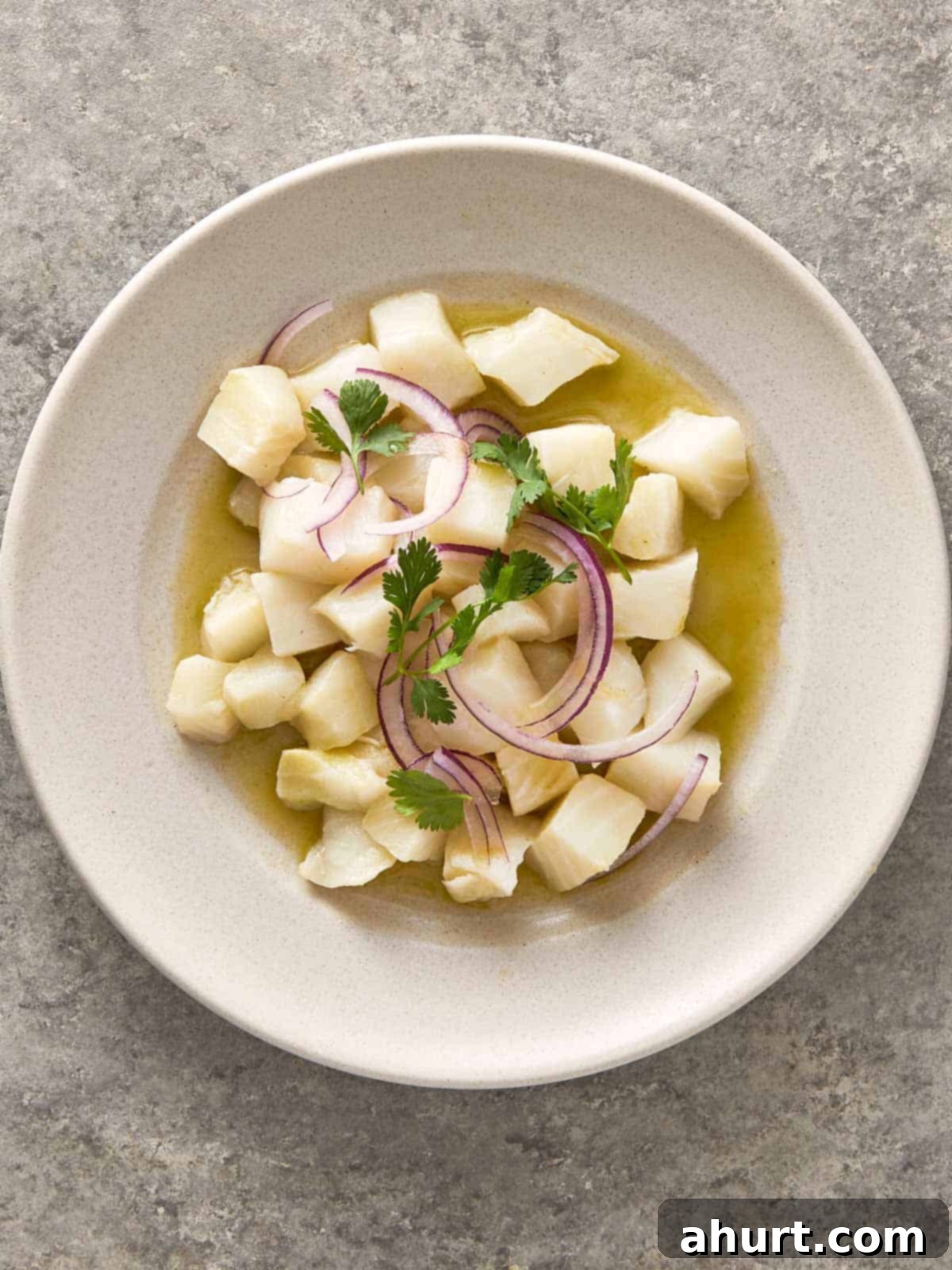 Side view of fish ceviche showing tender white fish cubes with red onion and coriander garnish.