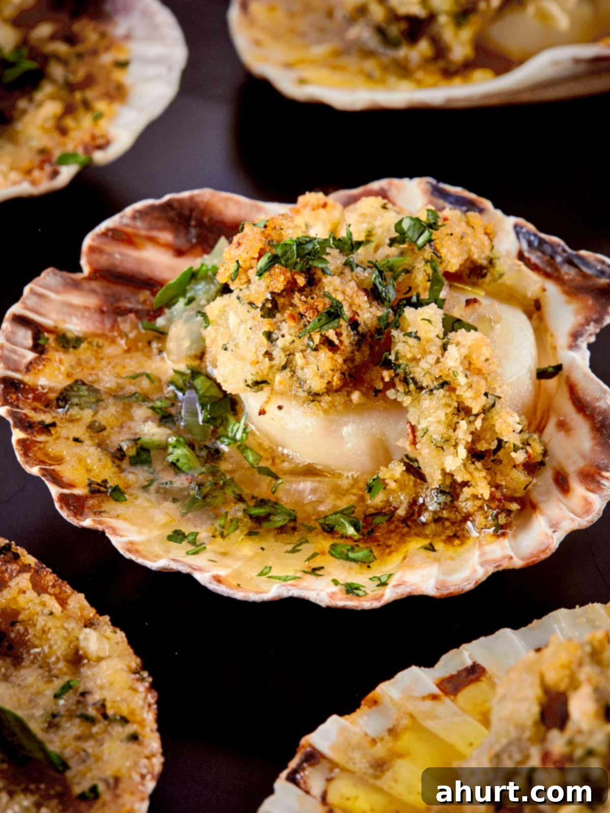 Close-up of scallops baked in their shells, topped with golden garlic parsley butter and crispy breadcrumbs.