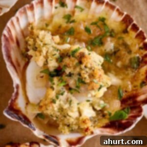 Close-up of baked scallops gratin served in their shells, topped with golden breadcrumbs, fresh parsley, and melted garlic butter.