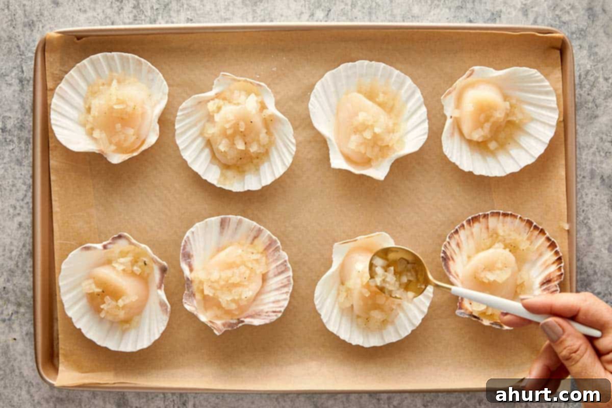 Placing scallops in shells on a baking tray and spooning the wine-onion mixture over each one.