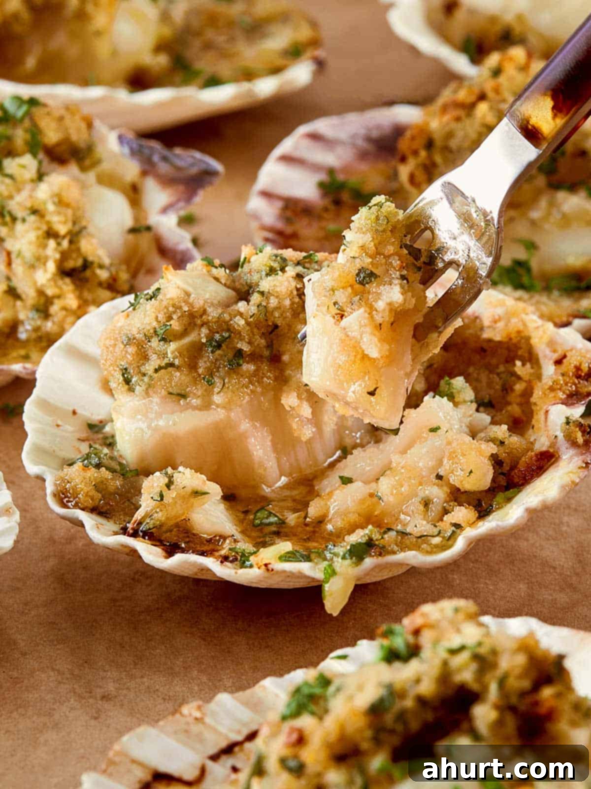 Close-up of golden-baked scallops in their shells, topped with crispy garlic and parsley breadcrumbs, as a fork lifts a tender bite showing the buttery texture underneath.