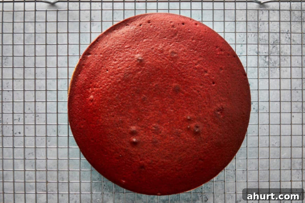 Spooktacular Red Velvet Cake Pops 5 A freshly baked, rectangular red velvet cake cooling on a wire rack, ready to be crumbled for cake pops. Its even texture and deep red color are visible.