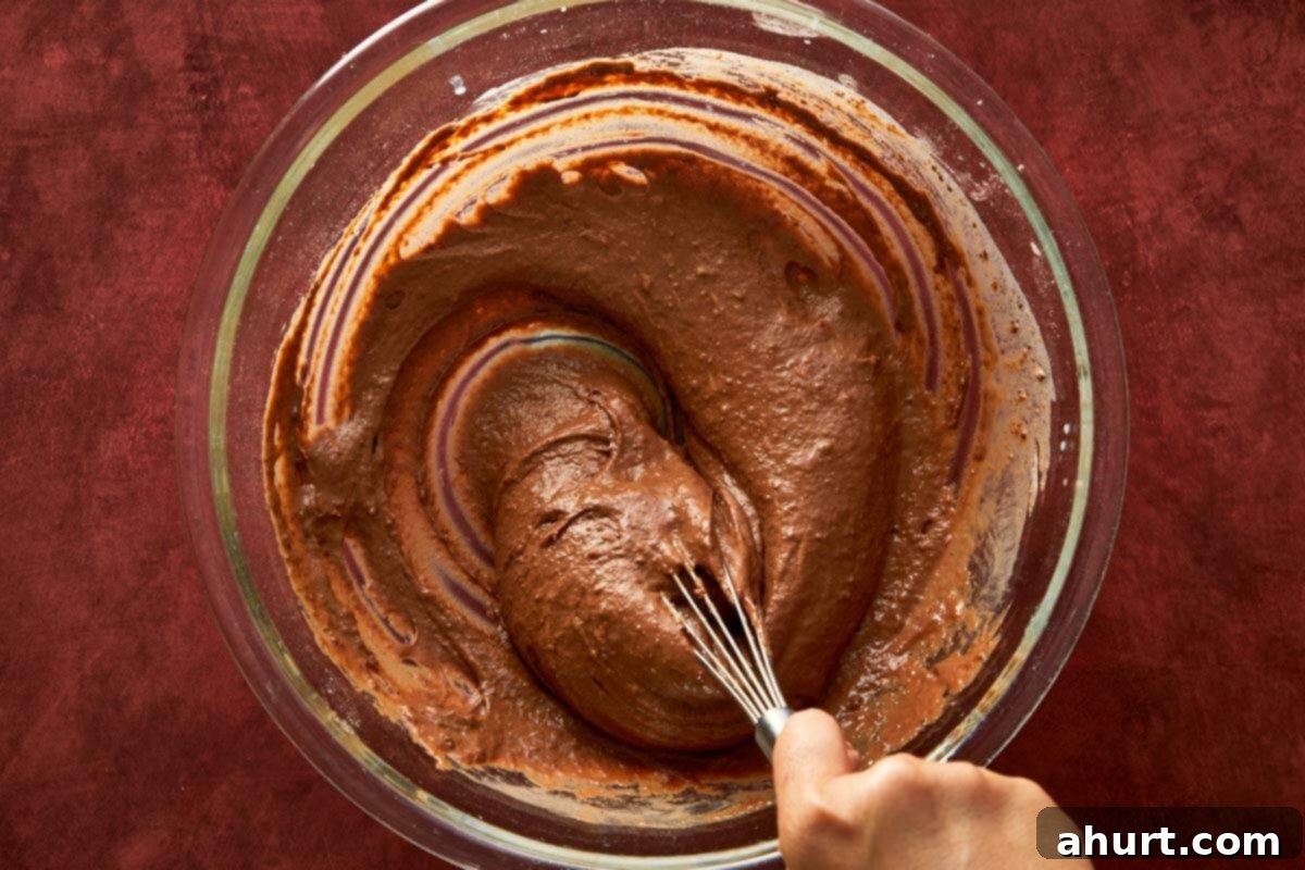 Mixing chocolate cake batter until smooth and silky with a whisk.