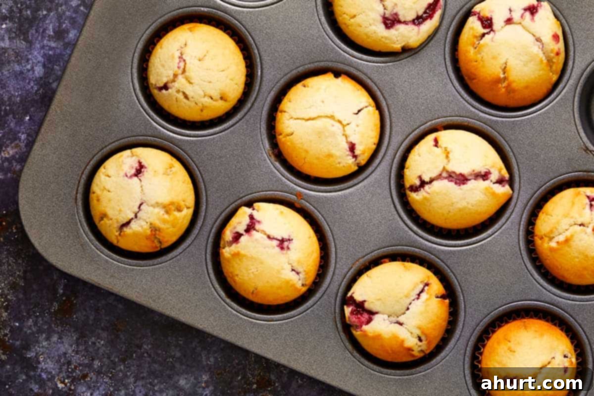 Freshly baked raspberry muffins cooling in a muffin tin, golden on top with red raspberry filling peeking through the cracks. Ready for spooky decoration.