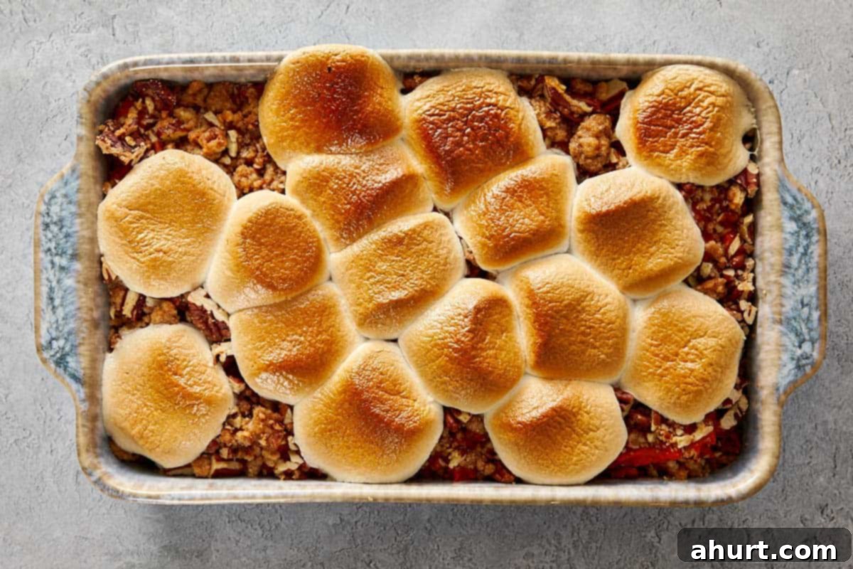 Sweet potato casserole in a baking dish topped with evenly toasted, golden marshmallows.