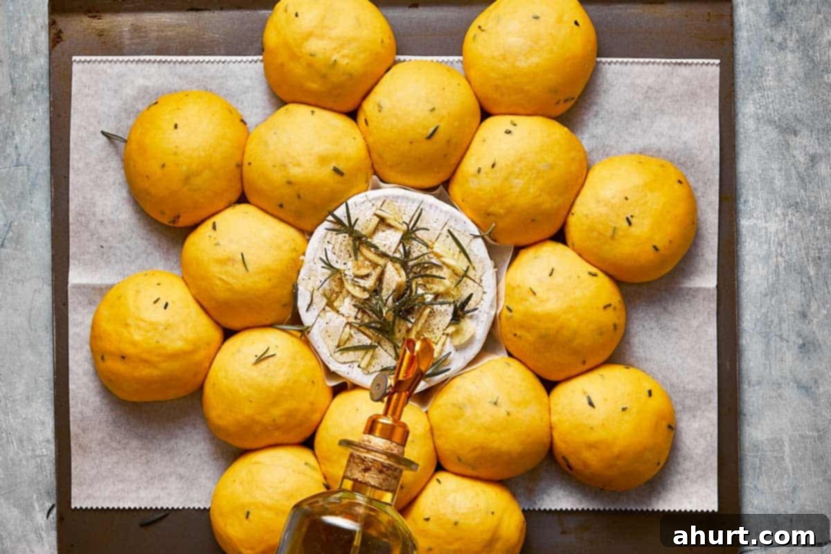 A wheel of Camembert cheese on a baking tray, scored and garnished with garlic slices and rosemary sprigs, surrounded by proofed sweet potato bread rolls