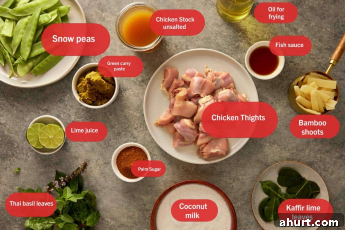 top down shot of ingredients for thai green chicken