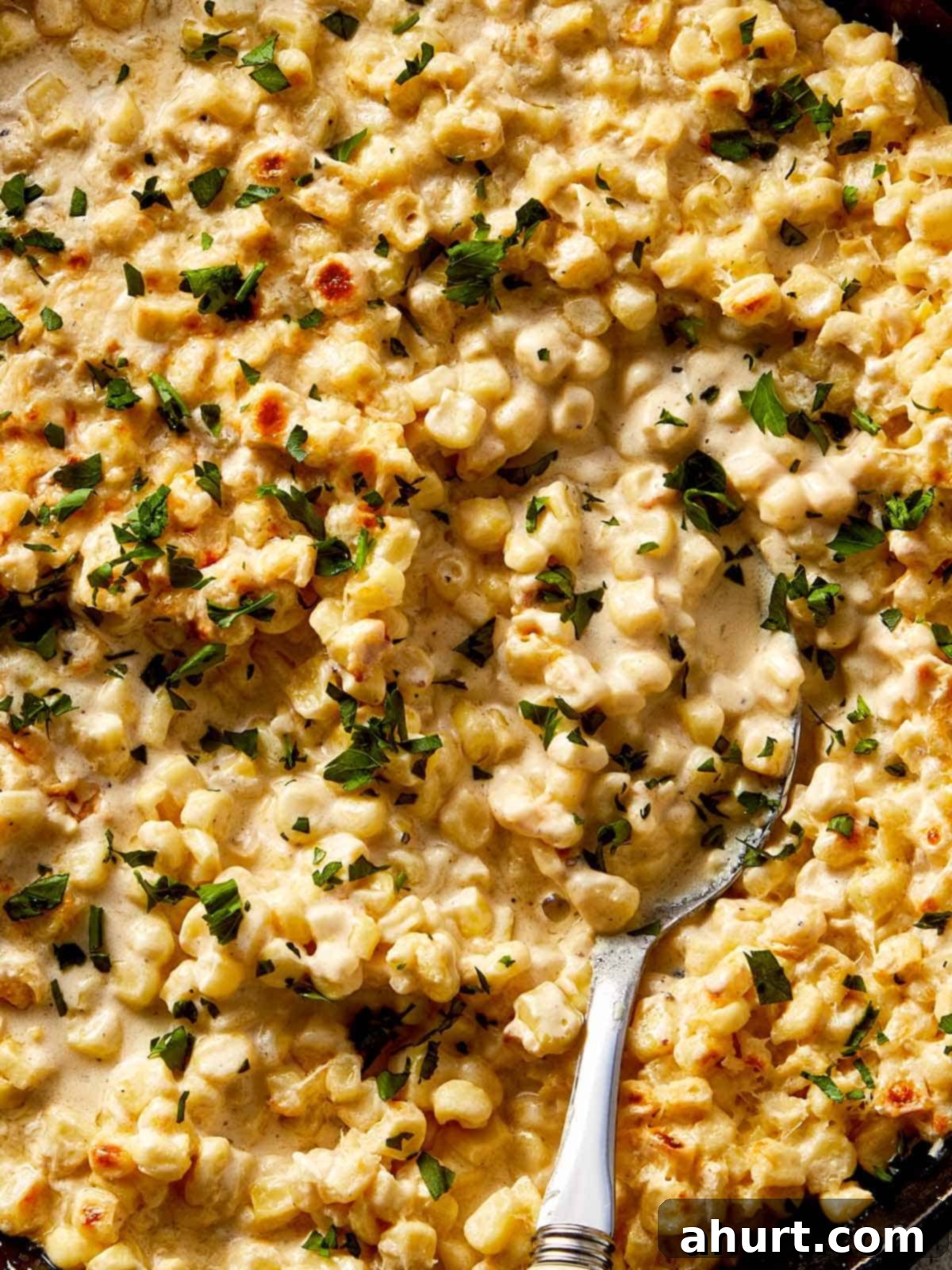 Creamy corn casserole with a golden broiled top and chopped parsley, served warm