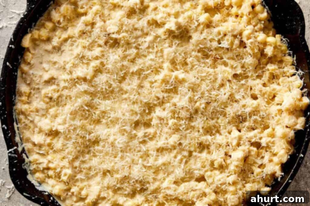 Creamy corn topped with grated parmesan, ready to broil until golden and slightly crisp